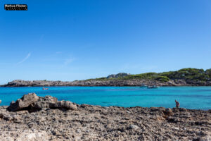 Cala Agulla und Cala Molto auf Mallorca in Spanien