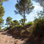 Cala Agulla und Cala Molto auf Mallorca in Spanien