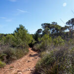 Cala Agulla und Cala Molto auf Mallorca in Spanien