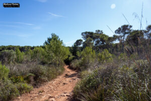 Cala Agulla und Cala Molto auf Mallorca in Spanien