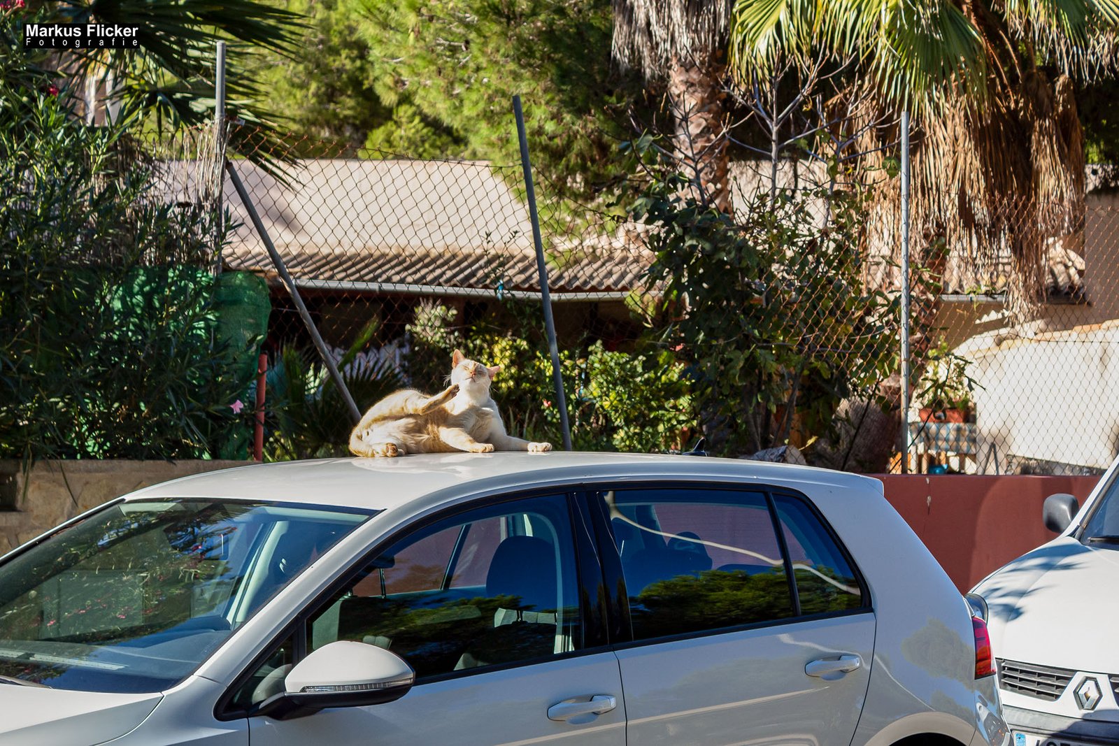 Cala Agulla und Cala Mesquida auf Mallorca Spanien