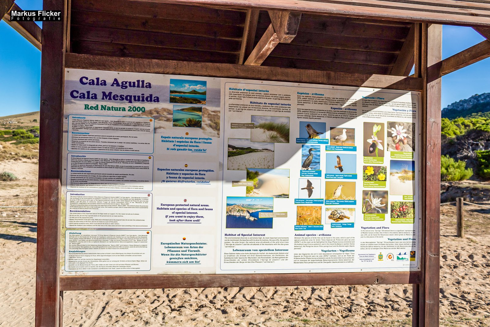 Cala Agulla und Cala Mesquida auf Mallorca Spanien