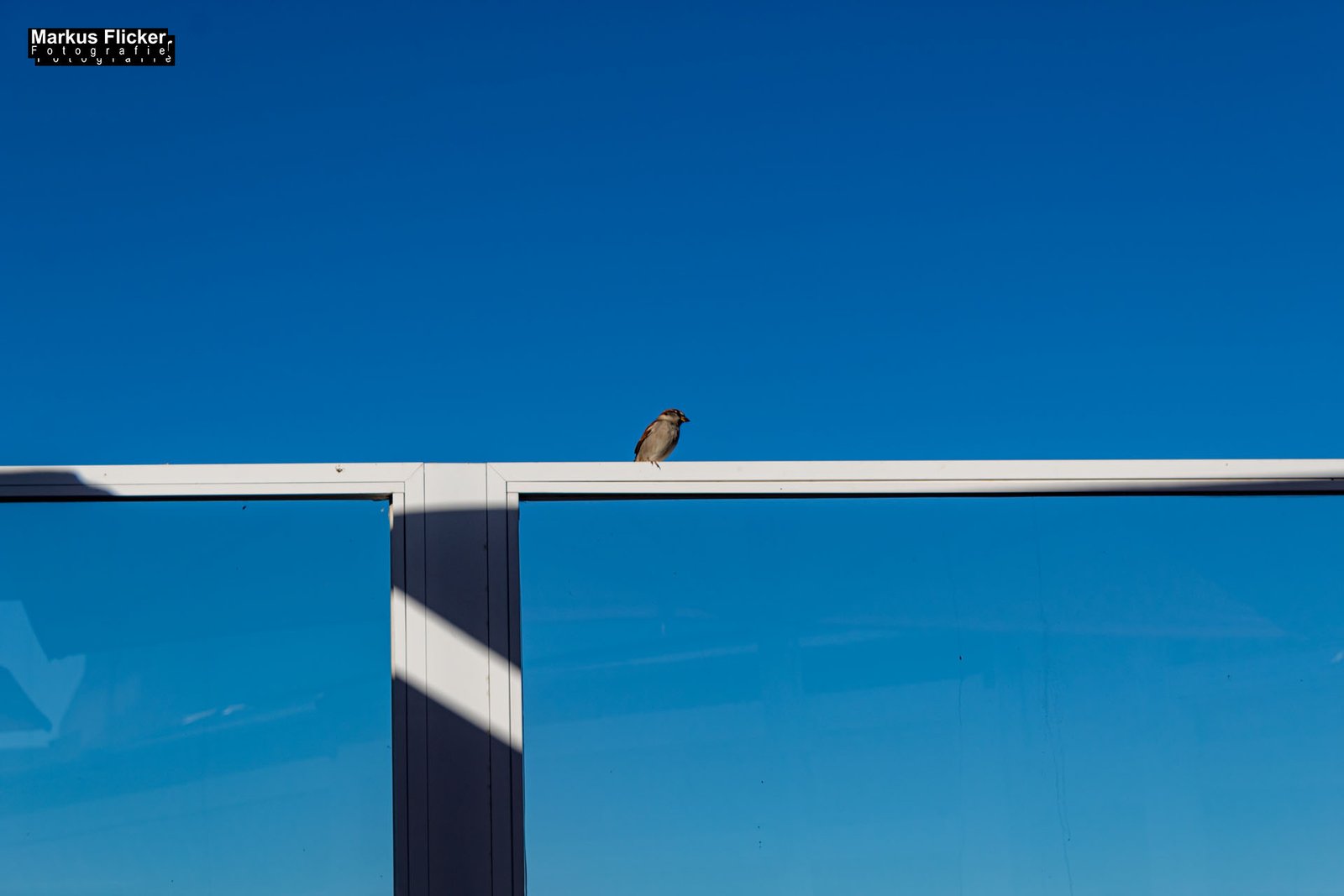 Cala Agulla und Cala Mesquida auf Mallorca Spanien