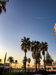Apartments Universal Universal Hotel Bikini Cala Millor Mallorca Spanien