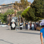 Palma de Mallorca Hauptstadt der spanischen Mittelmeerinsel Mallorca