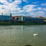 Maribor Marburg an der Drau in Slowenien Roadtrip Städtereise