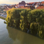 Maribor Marburg an der Drau in Slowenien Roadtrip Städtereise