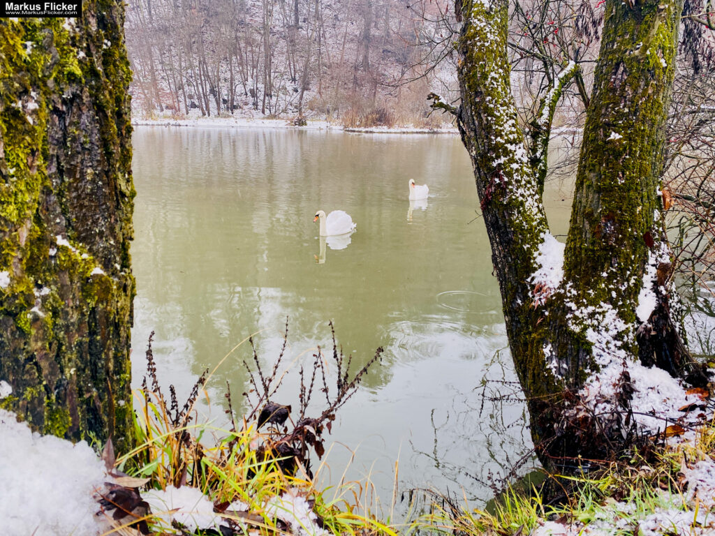 Raus mit DIR! #rausmitdirchallenge #macheinfoto Deine Herausforderung JETZT #GedankenZumLeben