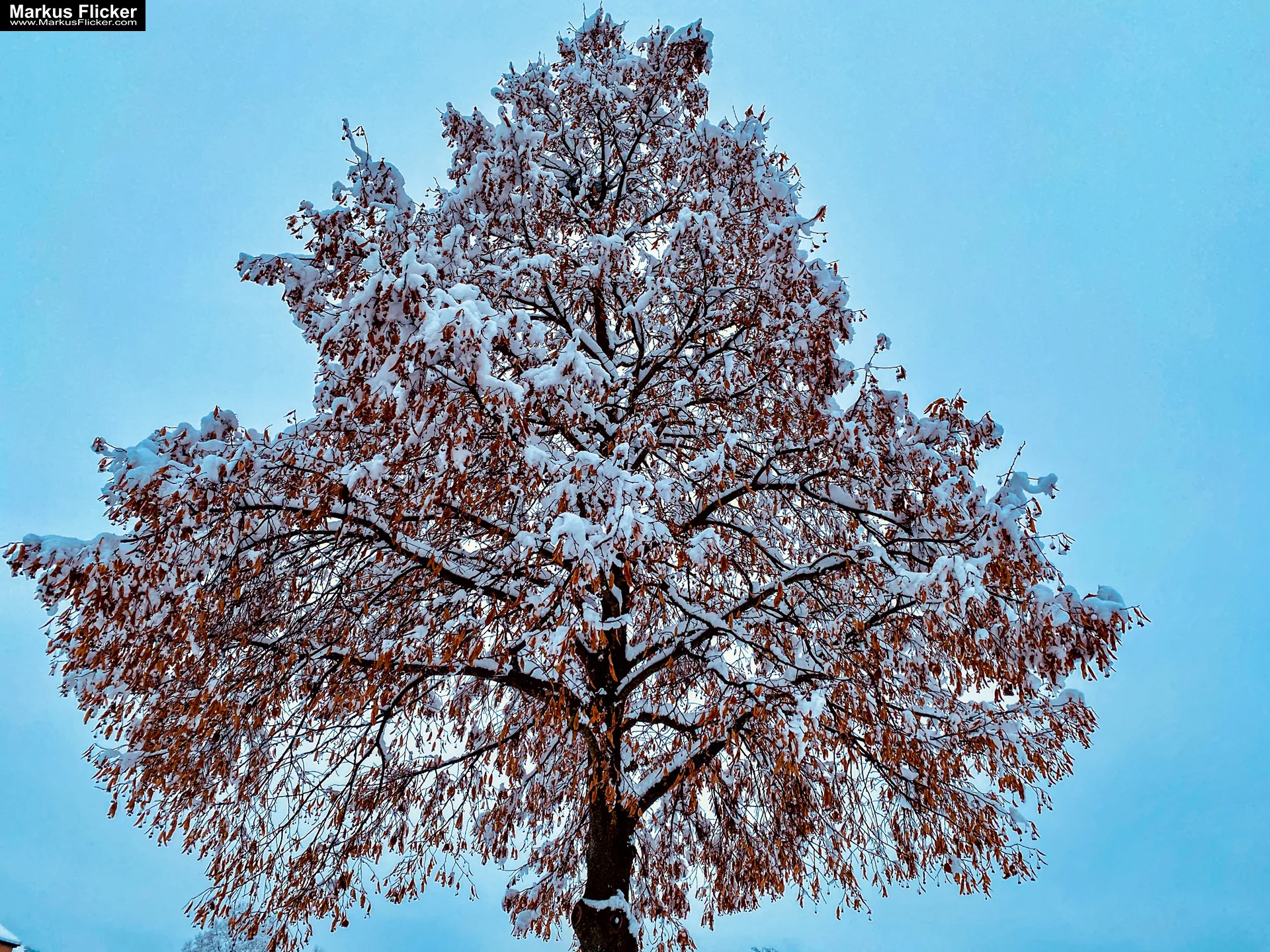 Spazieren Winter Schnee Steiermark Gleisdorf Raab