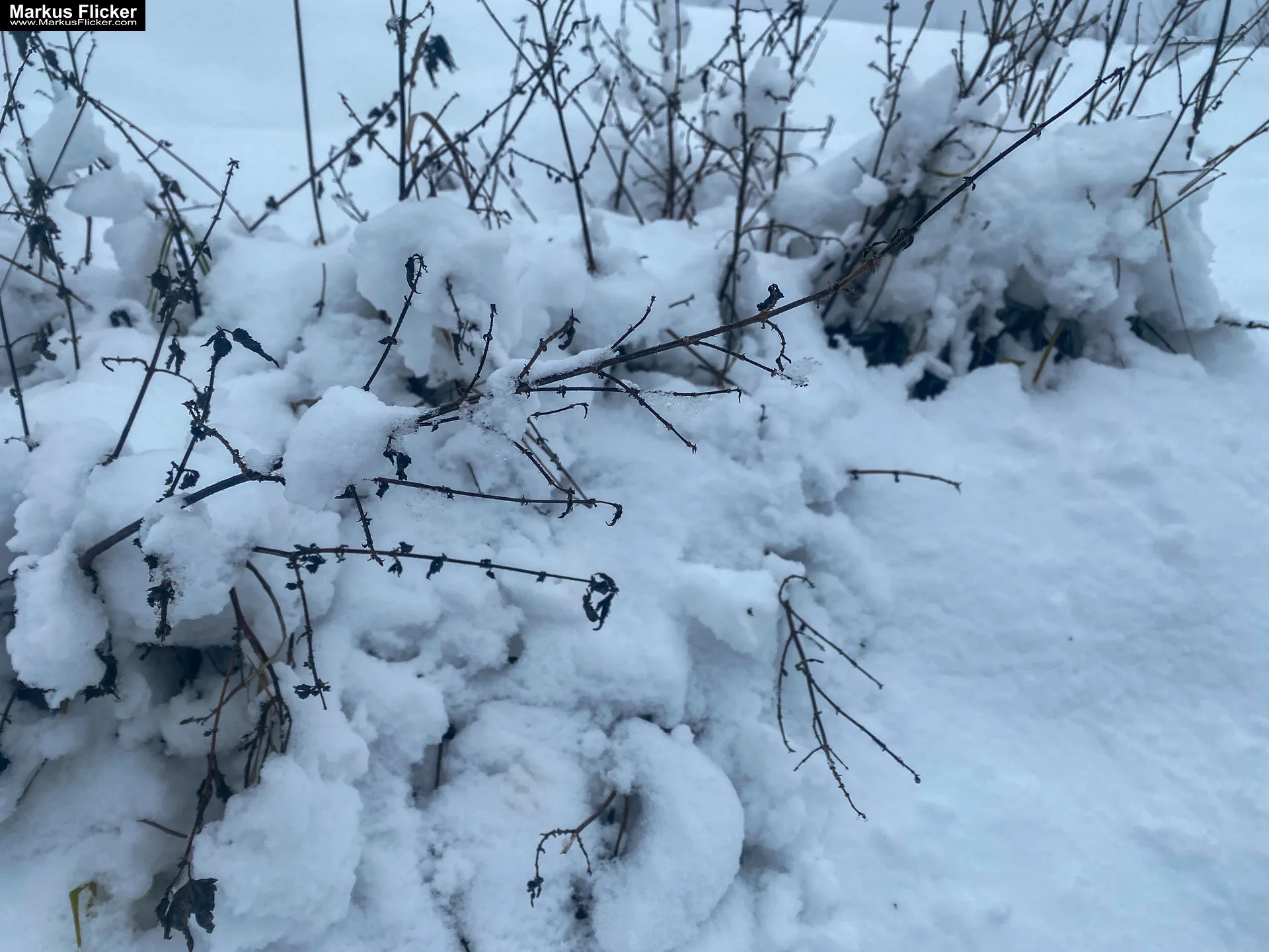 Spazieren Winter Schnee Steiermark Gleisdorf Raab