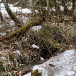 Packer Stausee in der Gemeinde Hirschegg-Pack Bezirk Voitsberg in der Steiermark