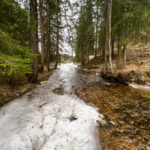 Packer Stausee in der Gemeinde Hirschegg-Pack Bezirk Voitsberg in der Steiermark