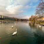 Maribor Marburg an der Drau Drava in Slowenien Roadtrip Städtereise #ifeelsLOVEnia #visitmaribor