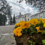 Koper Seehafenstadt in Slowenien an der Adria Istrien #visitslovenia #ifeelslovenia #visitkoper