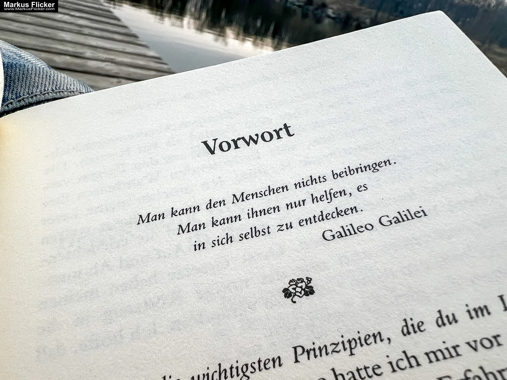 Buchtipp Die universellen Lebensgesetze des friedvollen Kriegers: Machtvolle Wahrheiten zur Meisterung des Lebensweges