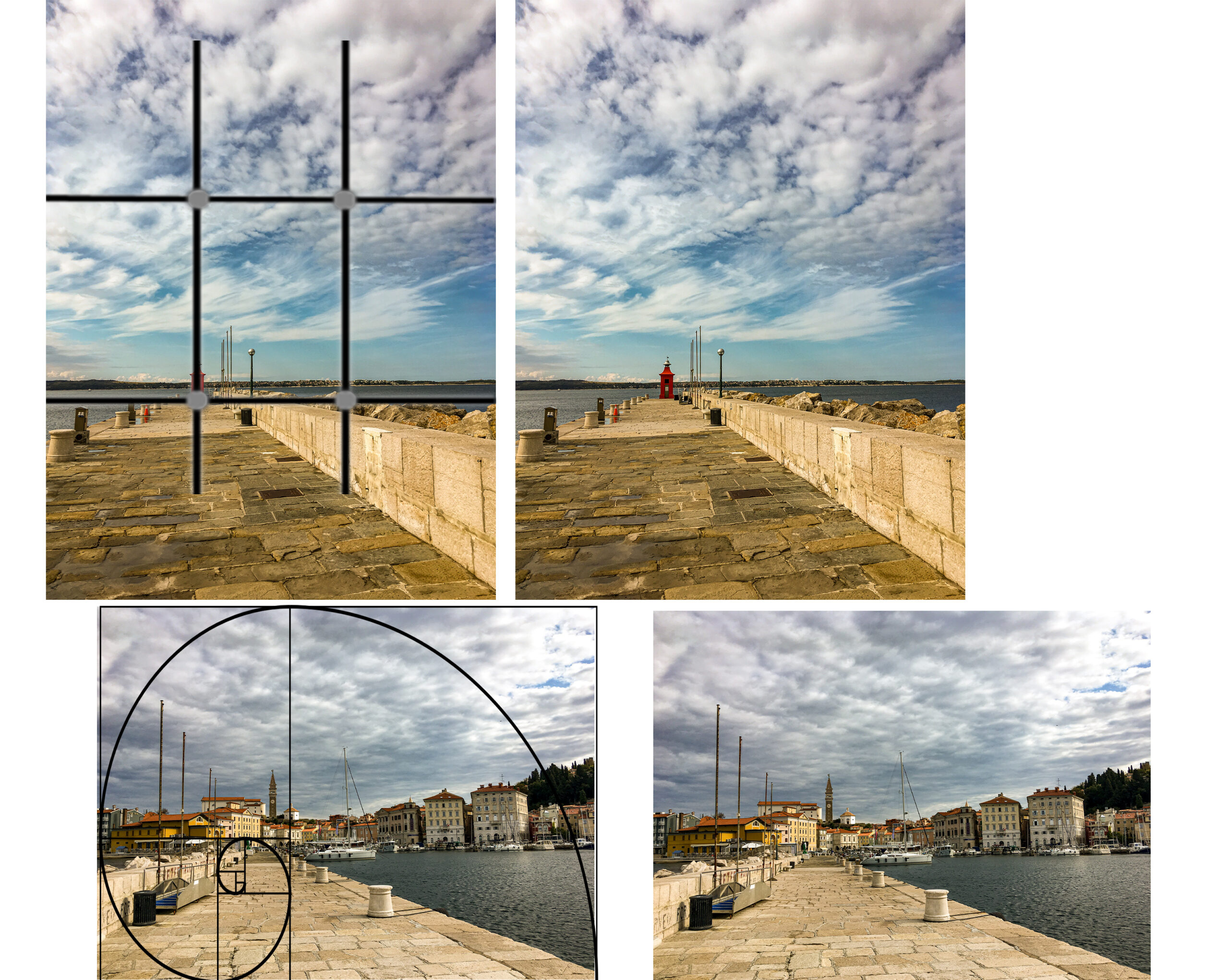 Fotografieren von Formen und Linien. Fibonacci Spirale und goldener Schnitt Fototipp