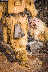 Vides Teufels Pass Perchten Krampus Fotoshooting im Steinbruch