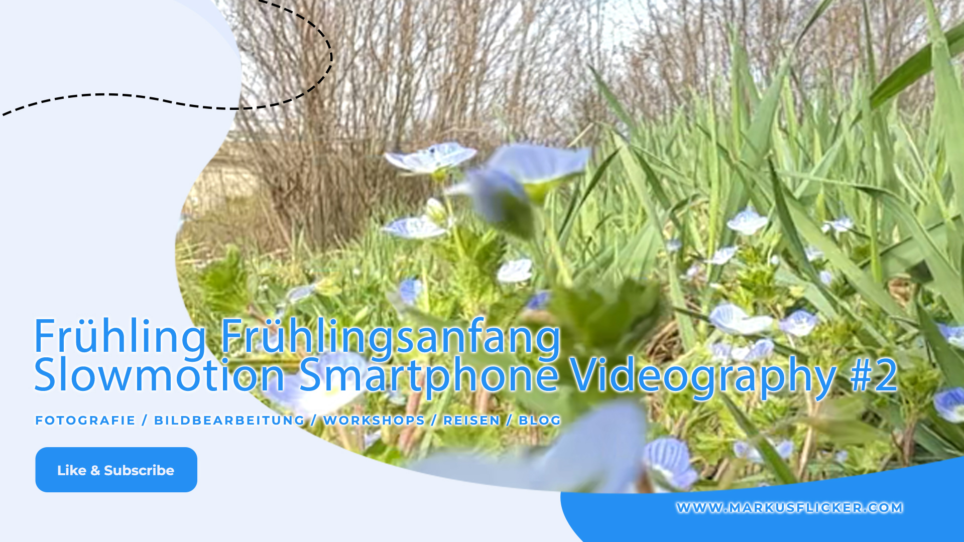 Frühling Frühlingsanfang Slowmotion Smartphone Videography