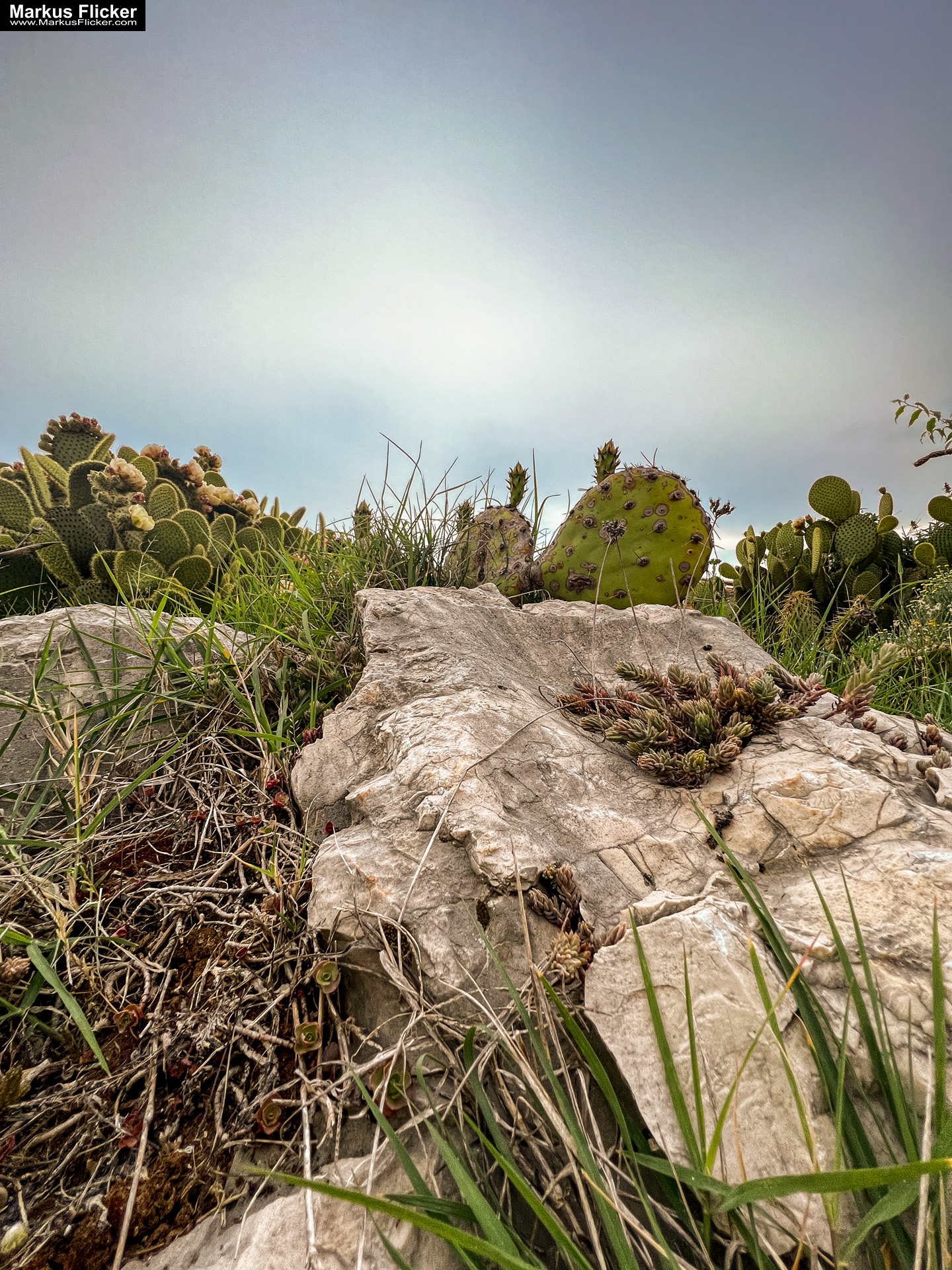 Bale Valle Kroatien Roadtrip Istrien #visitcroatia #visitbale Roadtrip in Europa. Reisen mit dem Auto innerhalb der EU. Citytrips, Camping, Landschaft, Rundfahrt mit dem PKW, romantische Städte und Urlaubsinspiration