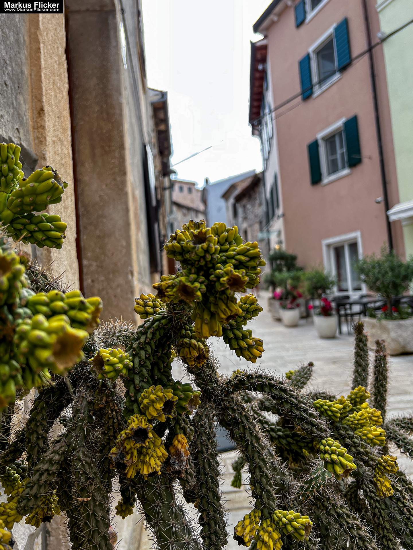 Bale Valle Kroatien Roadtrip Istrien #visitcroatia #kroatien #istrien #visitbale