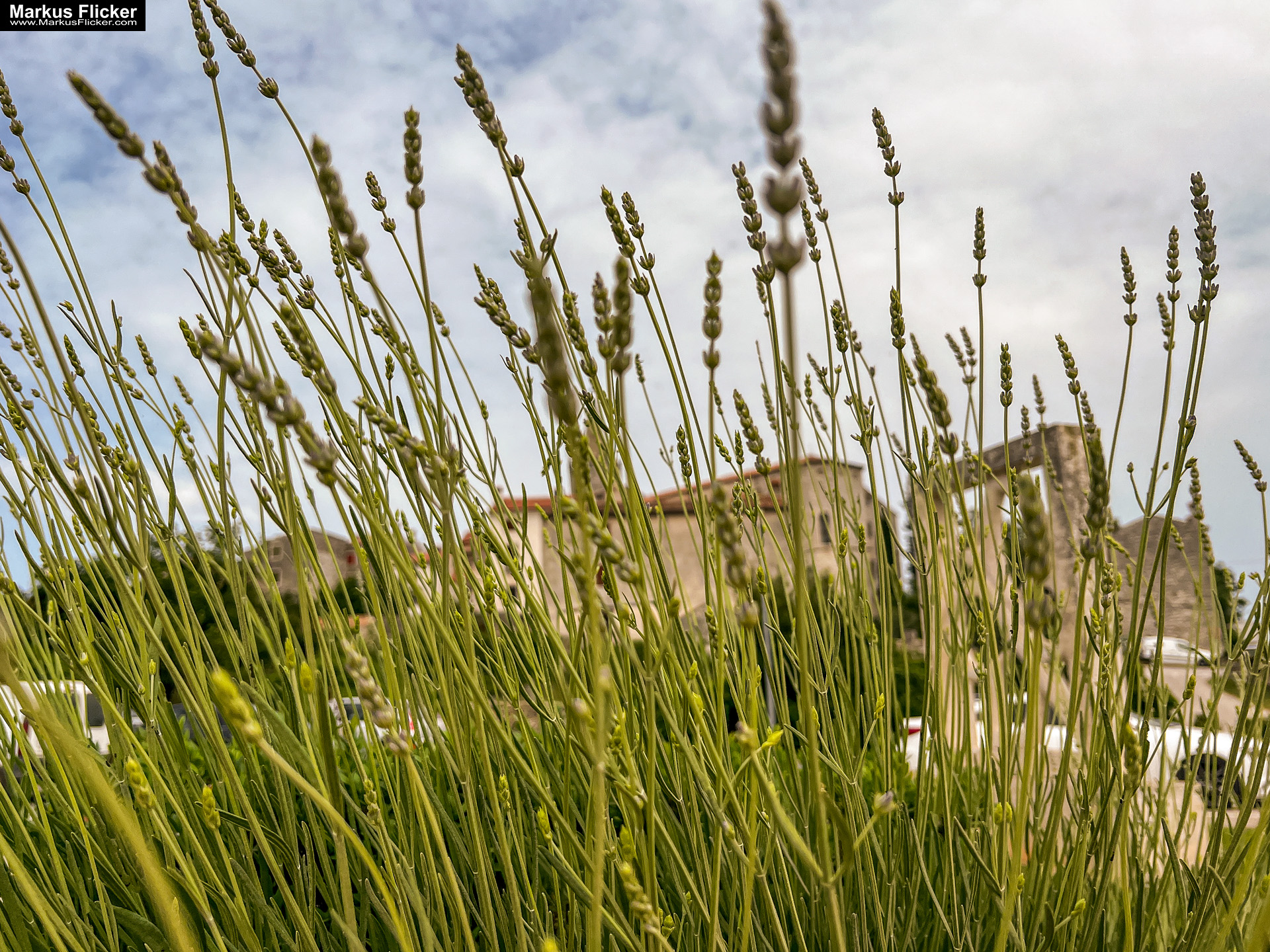 Bale Valle Kroatien Roadtrip Istrien #visitcroatia #kroatien #istrien #visitbale