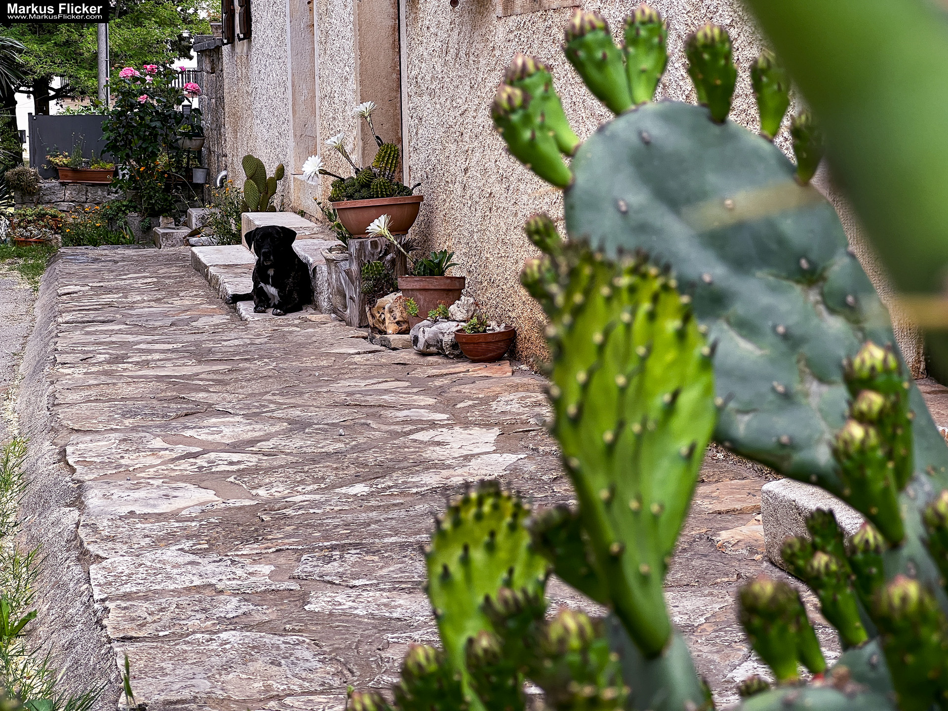 Bale Valle Kroatien Roadtrip Istrien #visitcroatia #kroatien #istrien #visitbale