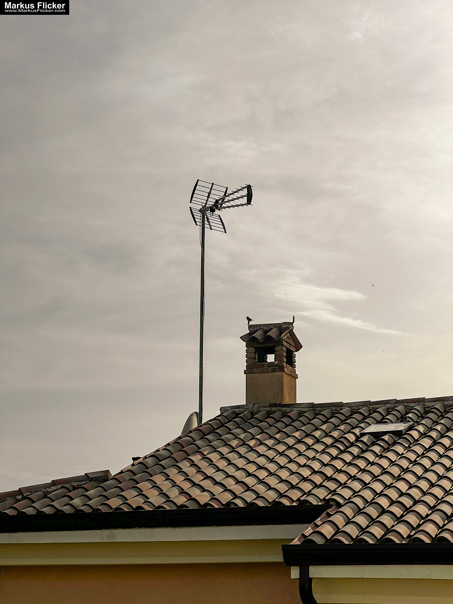 Bale Valle Kroatien Roadtrip Istrien #visitcroatia #kroatien #istrien #visitbale