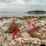 Mon Perin Camping und Strand Sv. Jakov mit Insel Otočić Kolona Bale Valle Istrien Kroatien an der Adria #visitcroatia