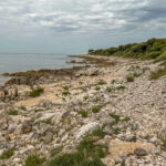 Mon Perin Camping und Strand Sv. Jakov mit Insel Otočić Kolona Bale Valle Istrien Kroatien an der Adria