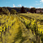 Ferienhaus Kellerstöckl Weinberg Deutsch-Schützen Weinberg Eisenberg an der Pinka Südburgenland Burgenland