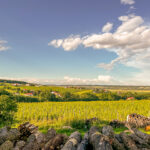 Ferienhaus Kellerstöckl Weinberg Deutsch-Schützen Weinberg Eisenberg an der Pinka Südburgenland Burgenland