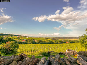 Ferienhaus Kellerstöckl Weinberg Deutsch-Schützen Weinberg Eisenberg an der Pinka Südburgenland Burgenland