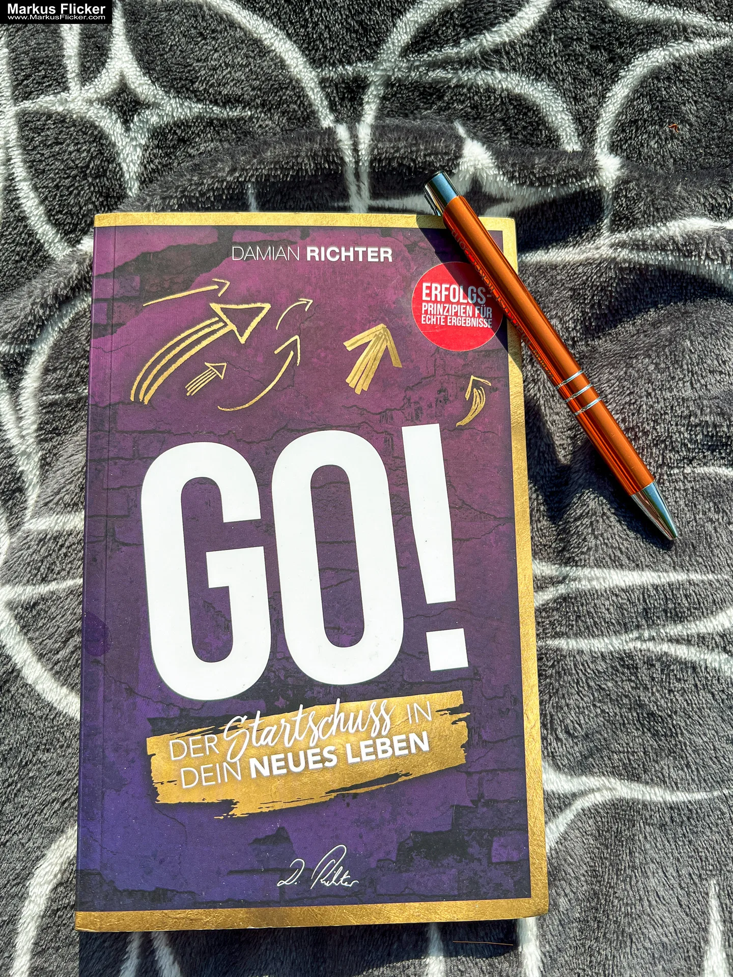 Mehr über den Artikel erfahren DAMIAN RICHTER Buch GO! Der Startschuss in dein neues Leben! (H.Scherer, A.Robbins) von DAMIAN RICHTER