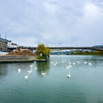 Maribor Marburg an der Drau Drava in Slowenien Roadtrip Städtereise #ifeelsLOVEnia #visitmaribor