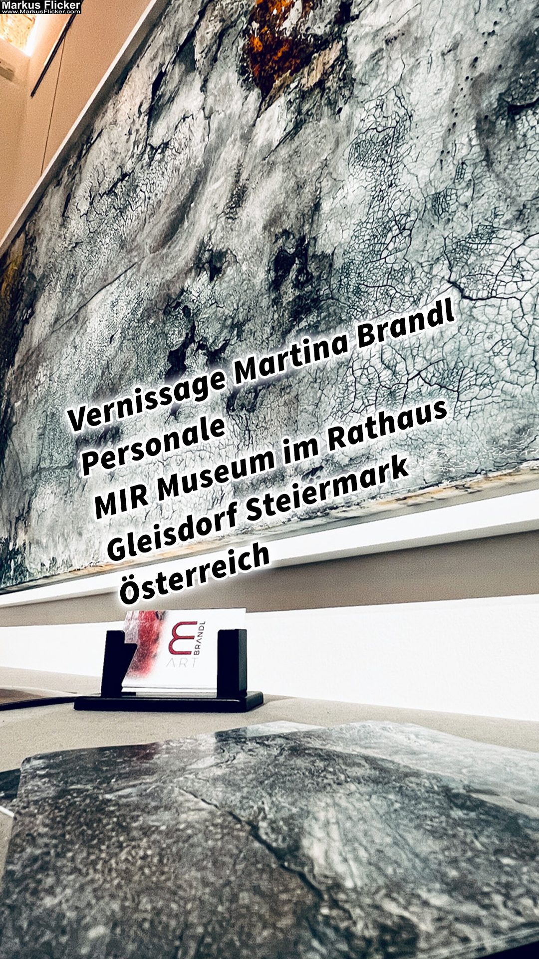 Vernissage Martina Brandl – Personale – MIR Museum im Rathaus Gleisdorf Steiermark Österreich