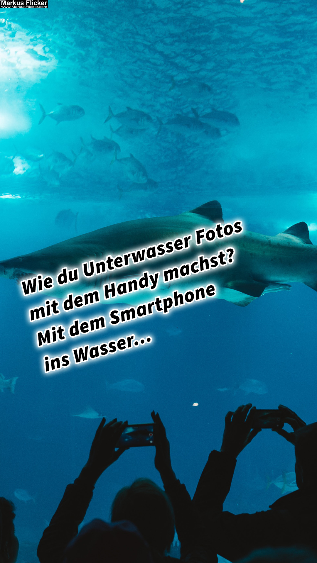 Wie du Unterwasser Fotos und Videos mit dem Handy machst? Mit dem Smartphone ins Wasser… Unterwasserfotografie. Fotografieren und Filmen mit dem Smartphone: Bessere Fotos und Videos mit dem Handy für Freizeit, Hobby und Business