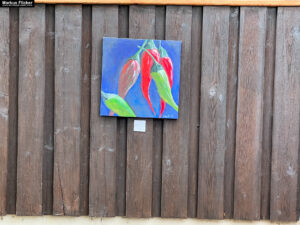 Ausstellung "My First Solo" von Eva Hollinger in Graz