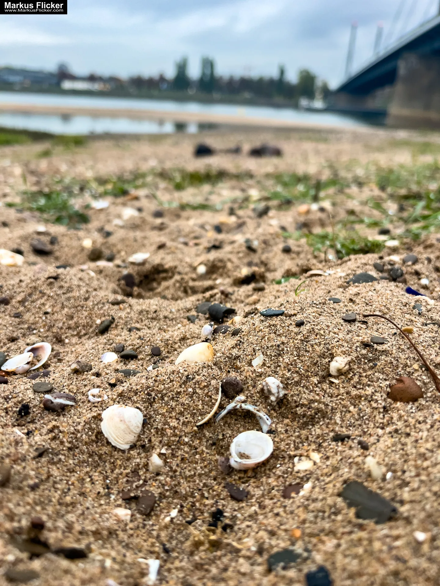 Düsseldorf am Rhein Nordrhein-Westfalen NRW Deutschland #visitduesseldorf