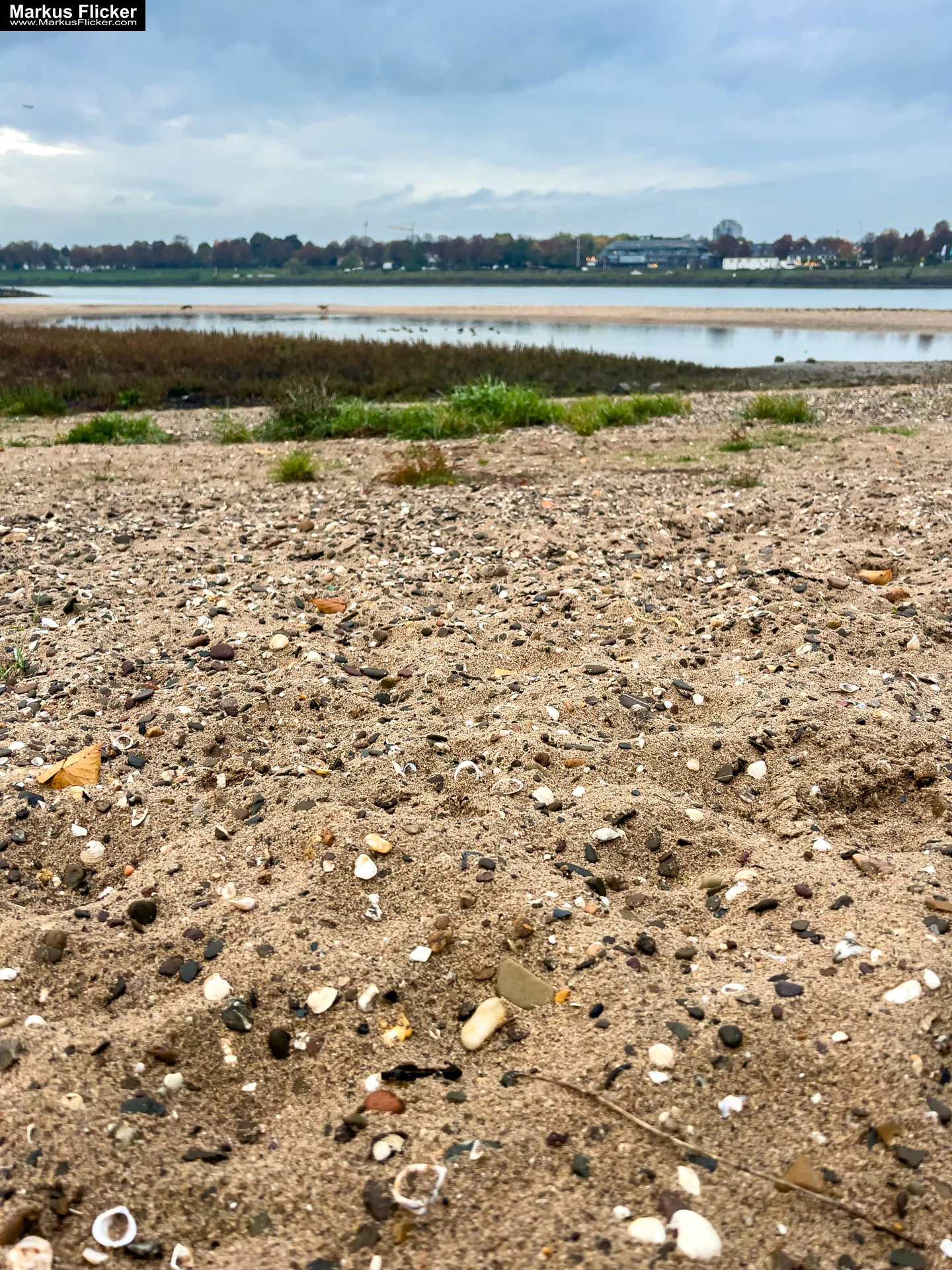 Düsseldorf am Rhein Nordrhein-Westfalen NRW Deutschland #visitduesseldorf