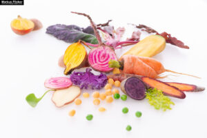 Speisen Lebensmittel Tabletop Fotostudio Imagefotos Produktfotos Chutney mit Gemüse Fleisch inkl. 25 Tipps für Foto und Video