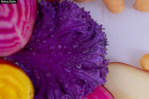Speisen Lebensmittel Tabletop Studio Imagefotos Produktfotos Chutney Gemüse Fleisch