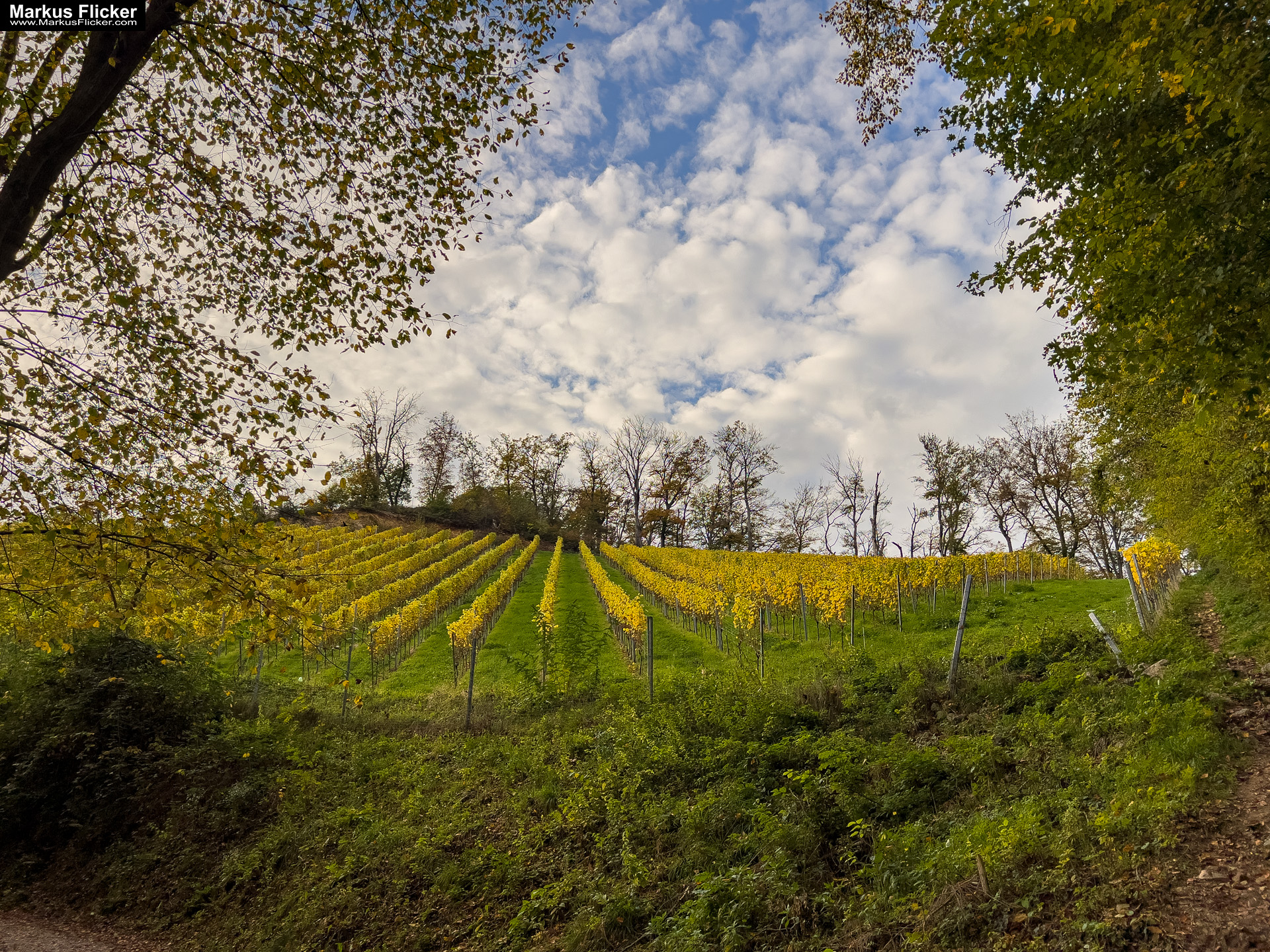 Burgruine Gösting Graz Steiermark Österreich #visitstyria
