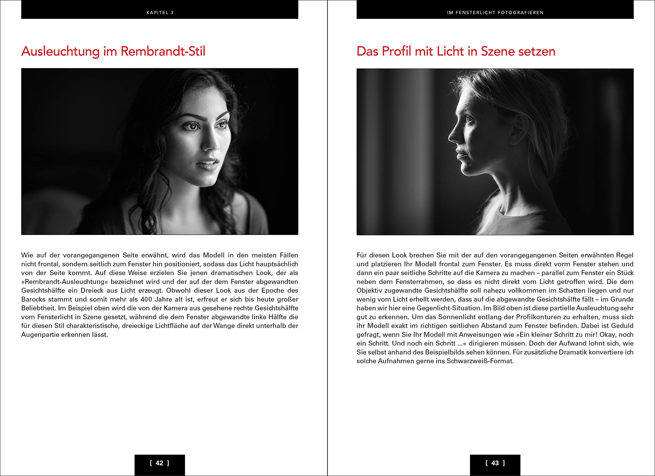 Porträt-Rezepte mit natürlichem Licht: Über 150 Anleitungen, Tipps und Tricks für das Fotografieren mit Tageslicht von Scott Kelby