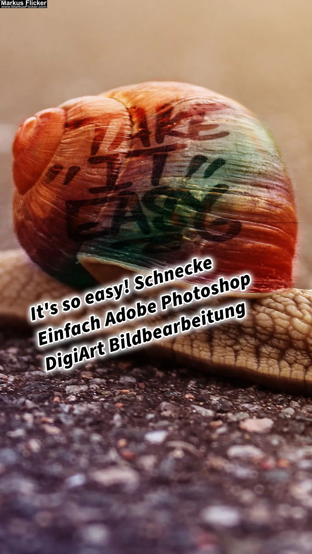 Mehr über den Artikel erfahren Take it easy! Schnecke mit Graffiti auf dem Schneckenhaus ganz einfach mit Adobe Photoshop. DigiArt Bildbearbeitung