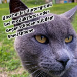 Unscharfer Hintergrund bei Produktfotos, Tieren, Personen oder Gegenständen mit dem Smartphone und DSLR Kamera. Fotografieren und Filmen mit dem Smartphone: Bessere Fotos und Videos mit dem Handy für Freizeit, Hobby und Business