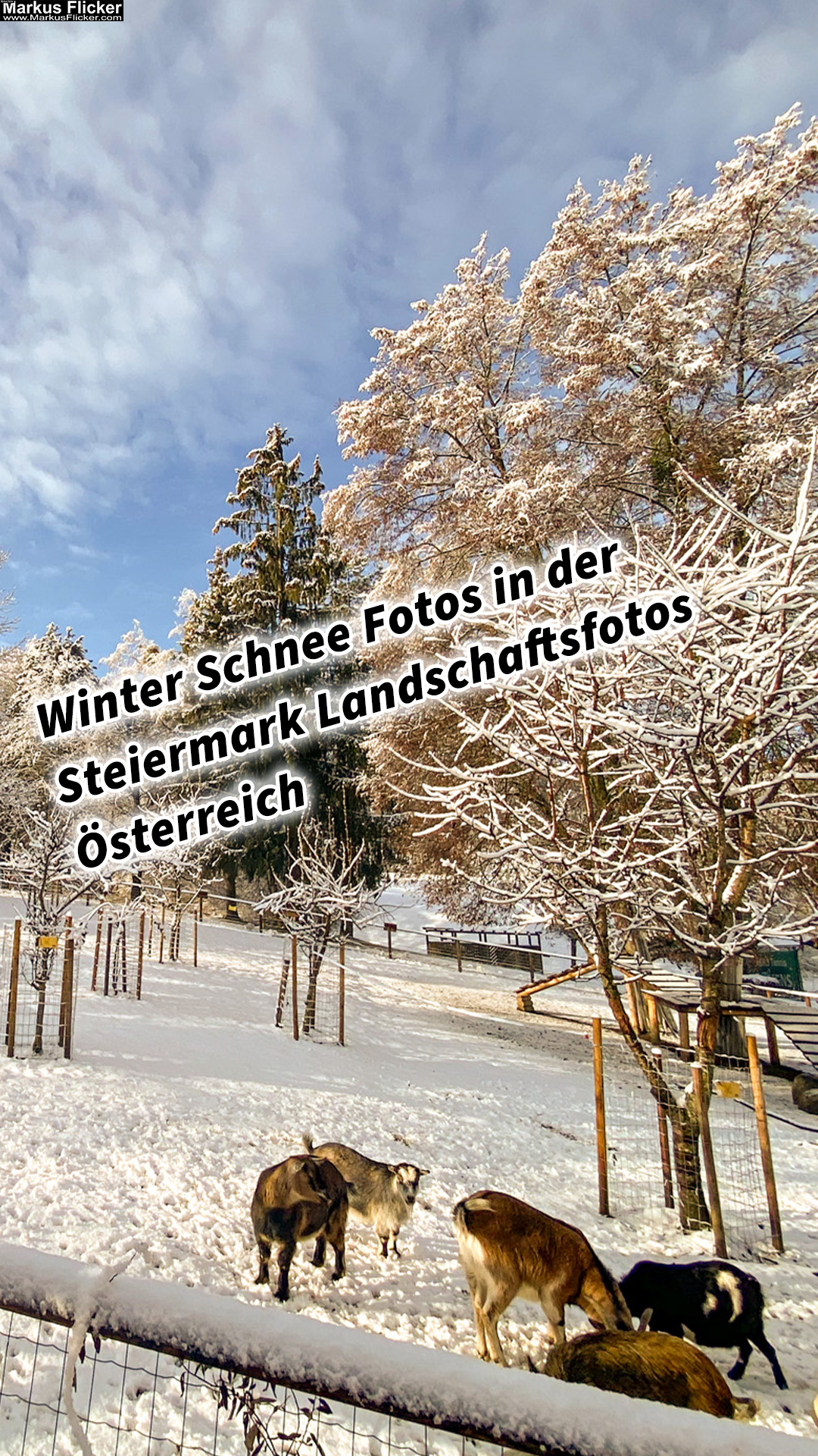 Winter Schnee Fotos Natur in der Steiermark Landschaftsfotos Österreich