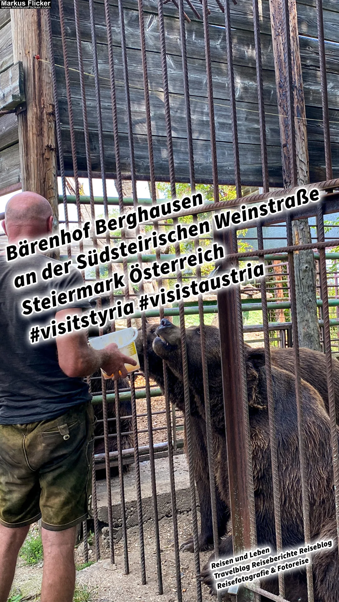 Mehr über den Artikel erfahren Bärenhof Berghausen an der Südsteirischen Weinstraße Tierpark Steiermark Österreich #visitstyria #visistaustria
