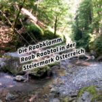 Die Raabklamm Raab Raabtal in der Steiermark Österreich