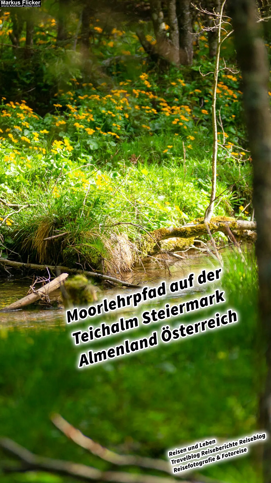 Mehr über den Artikel erfahren Moorlehrpfad auf der Teichalm Steiermark Almenland Österreich