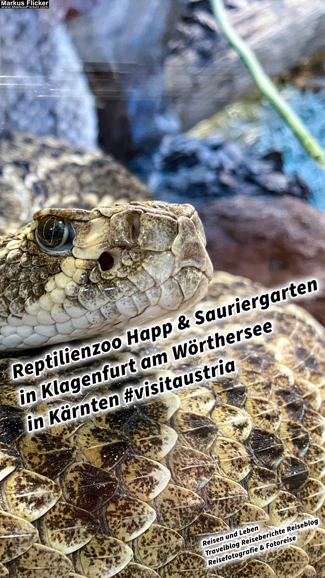 Reptilienzoo Happ & Sauriergarten in Klagenfurt am Wörthersee in Kärnten #visitaustria